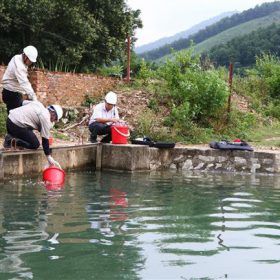 Ô nhiễm nguồn nước