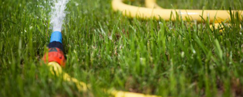 bảo vệ nguồn nước